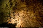 Carlsbad Caverns - Cave Ceiling