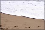 White foam surf at the beach