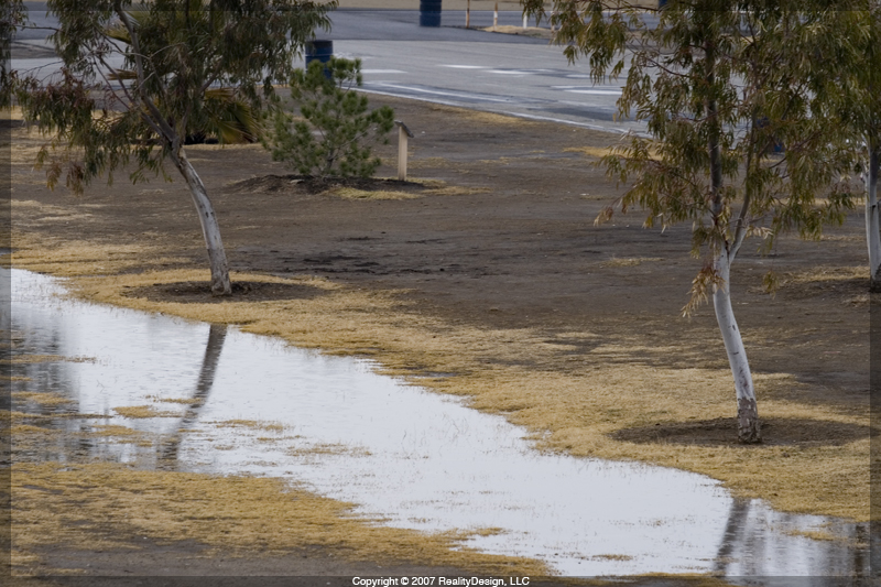 Buttonwillow is a bit wet today!