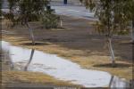 Buttonwillow is a bit wet today!