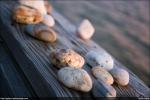 Rocks on the Bulkhead